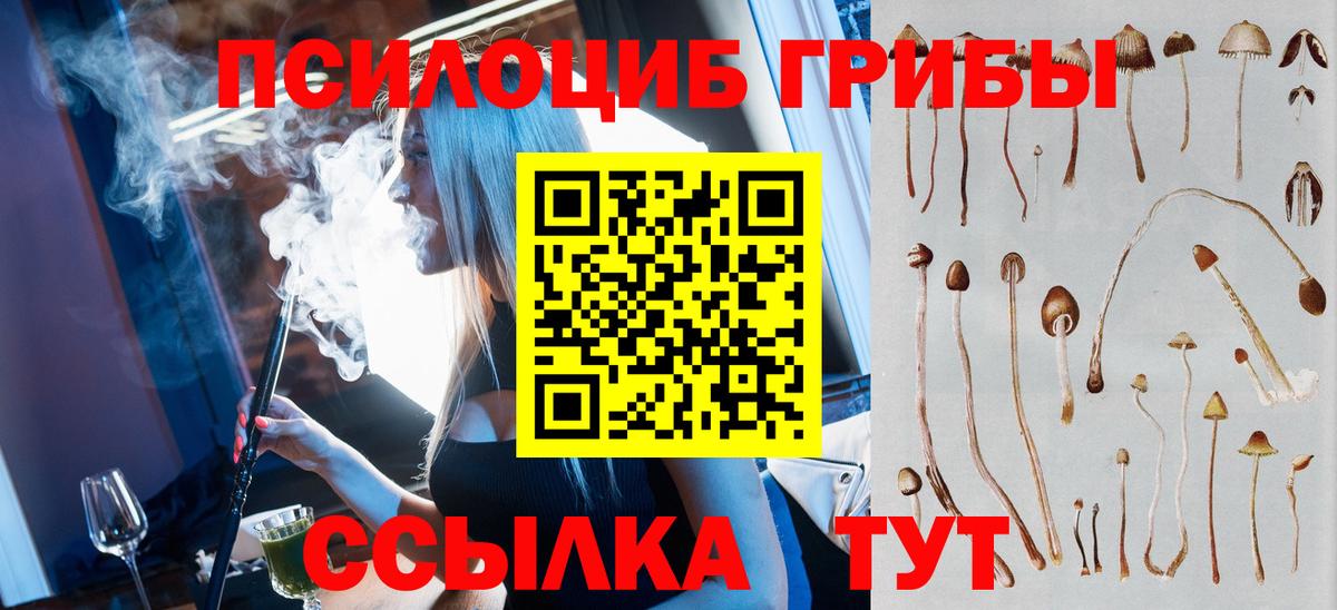 Псилоцибиновые грибы Psilocybe  Вход с VPN  Электросталь 